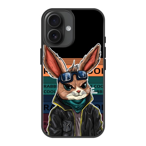 iPhone 16 plus Phone Case Anime series pictures