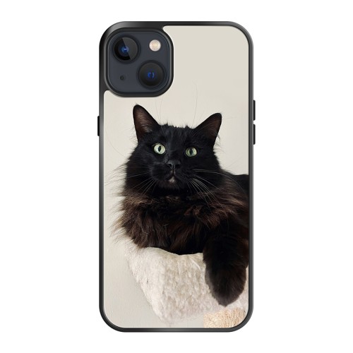 iPhone 13 Phone Case  Pets Picture Series